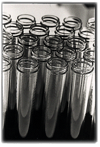 The Vials of Coke