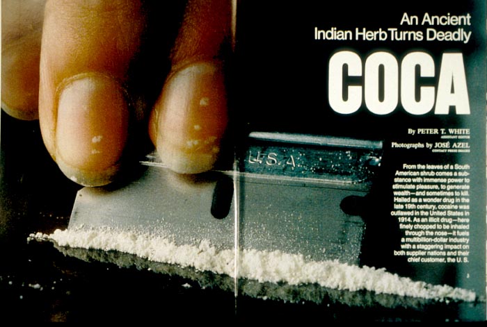 picture of cocaine from coca