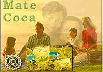 Inca Tea: a wholesome medicinal beverage made from the leaves of the coca plant